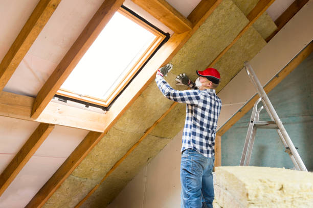 Eco-Friendly Insulation Solutions in East Mountain, TX