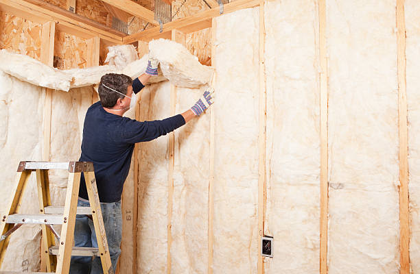 Professional Insulation Services in East Mountain, TX